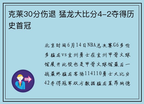 克莱30分伤退 猛龙大比分4-2夺得历史首冠