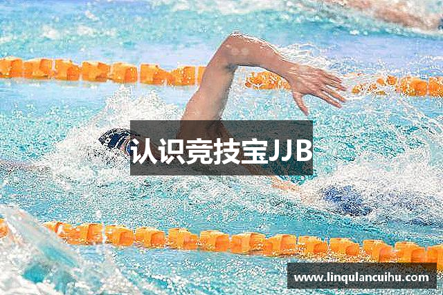 认识竞技宝JJB